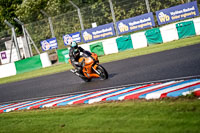 Lower Group Orange Bikes